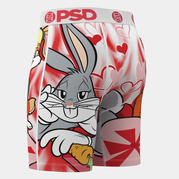 PSD - Looney Hearts Boxer