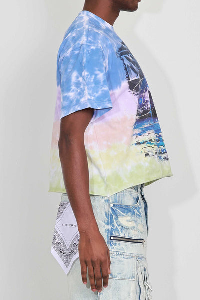 First Row - Art Of Escape Dolphins Cropped Tee (Tie Dye)