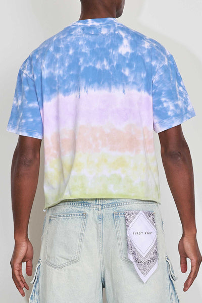 First Row - Art Of Escape Dolphins Cropped Tee (Tie Dye)