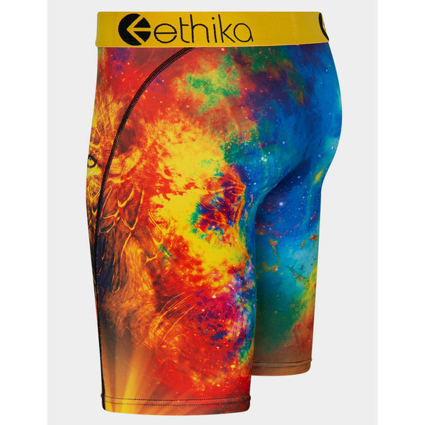 ETHIKA - Spirit Lion Boxer